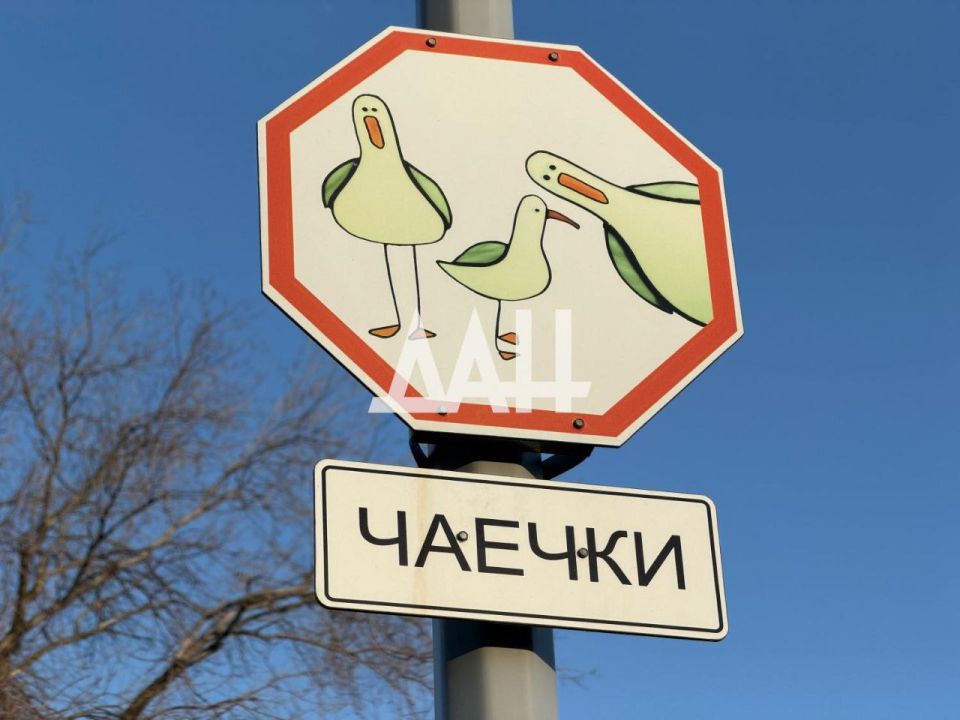 Внимание Новые «чаечные» ПДД ввели в Мариуполе Внимание Новые «чаечные» ПДД ввели в Мариуполе