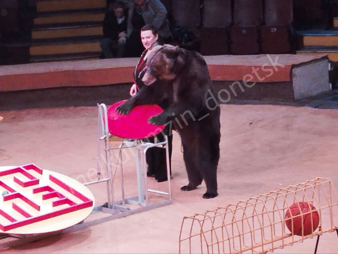 Сотрудники управления опеки и попечительства г.о. Донецк при поддержке Дома работников культуры и дирекции Донецкого цирка «Космос» организовали посещение циркового представления «Джемелли» для детей, лишённых родительского... Сотрудники управления опеки и попечительства г.о. Донецк при поддержке Дома работников культуры и дирекции Донецкого цирка «Космос» организовали посещение циркового представления «Джемелли» для детей, лишённых родительского...