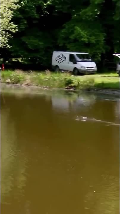 � �������� ������� �� ������� ������� ������ ����� ������������: