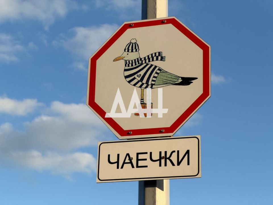 Внимание Новые «чаечные» ПДД ввели в Мариуполе Внимание Новые «чаечные» ПДД ввели в Мариуполе