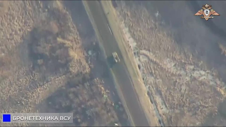 «Беркут» 238 бригады с «Ланцетом» сжигает Stryker ВСУ в районе Красногоровки