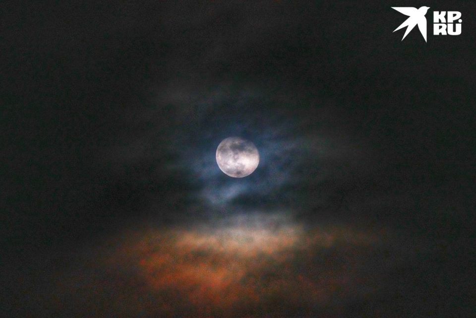 �� ��� ��� ������ ��������� ��������� ���� �������������� �������