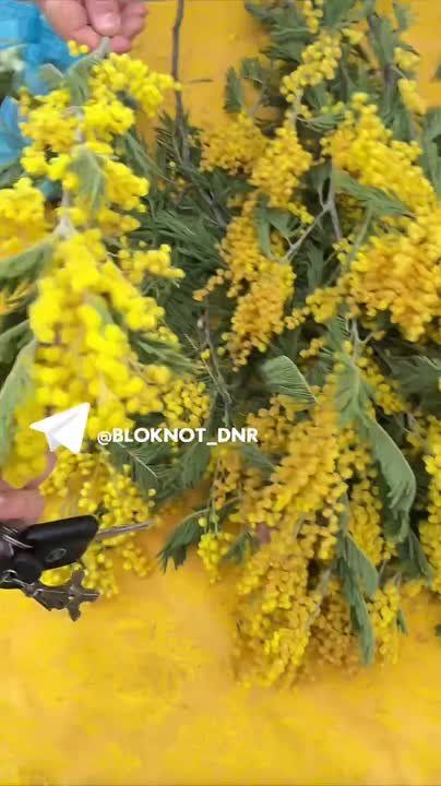 �������� �� �������?. ������ � ������� - �� 100 �� 300 �������