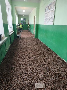 ����� �����: ����������� �������� ������� ����������������� ������ �� ������������� IT-���� � ����� �2 �����������