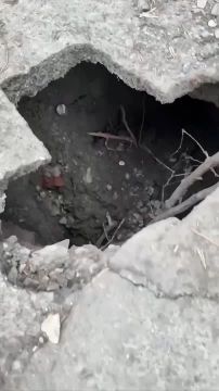 �������� �� �����, 142. ���-�� ���� ������� � ��������� ��������� ��������, ����� ����� �� ���������� �����������