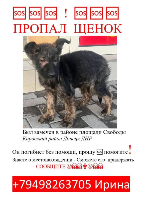 � ������� ������������� �����