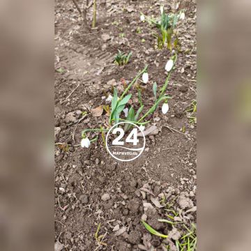 ����� ��������. ��� ����� ������� � ���� �� ������: ������ ����� �����