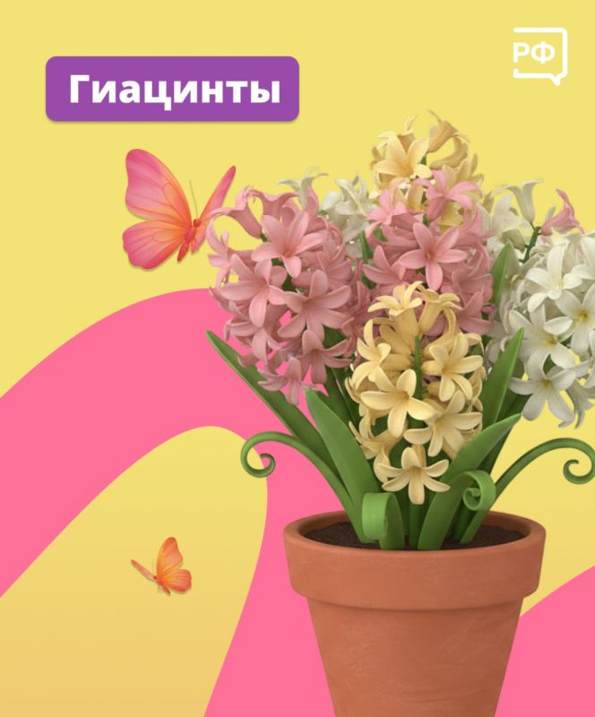 Чтобы праздничный букет простоял как можно дольше, следуйте простым советам Чтобы праздничный букет простоял как можно дольше, следуйте простым советам