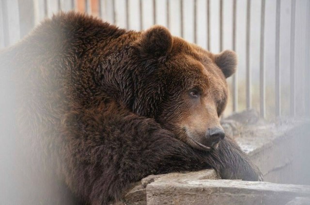 В Мариупольском зоопарке сразу два радостных события