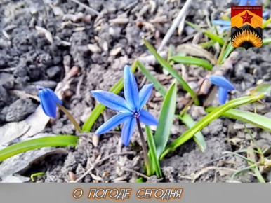 ������������� ������� � ������ � ���������� ������