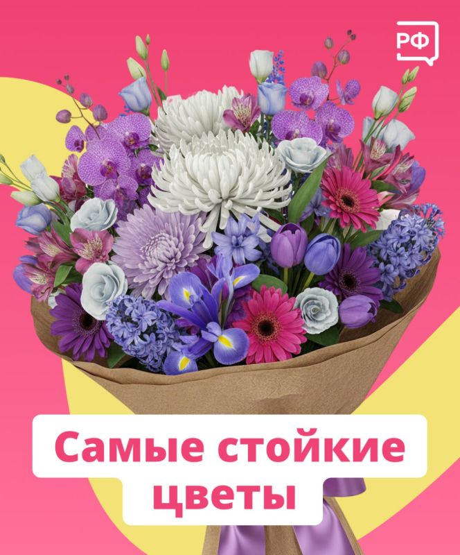 Чтобы праздничный букет простоял как можно дольше, следуйте простым советам Чтобы праздничный букет простоял как можно дольше, следуйте простым советам