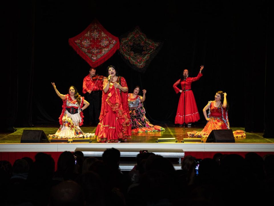 У цыганского костра. 6 марта, в Донецком театре кукол состоялось первое мероприятие в рамках объявленного Года единства народов России