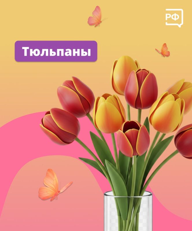 Чтобы праздничный букет простоял как можно дольше, следуйте простым советам Чтобы праздничный букет простоял как можно дольше, следуйте простым советам