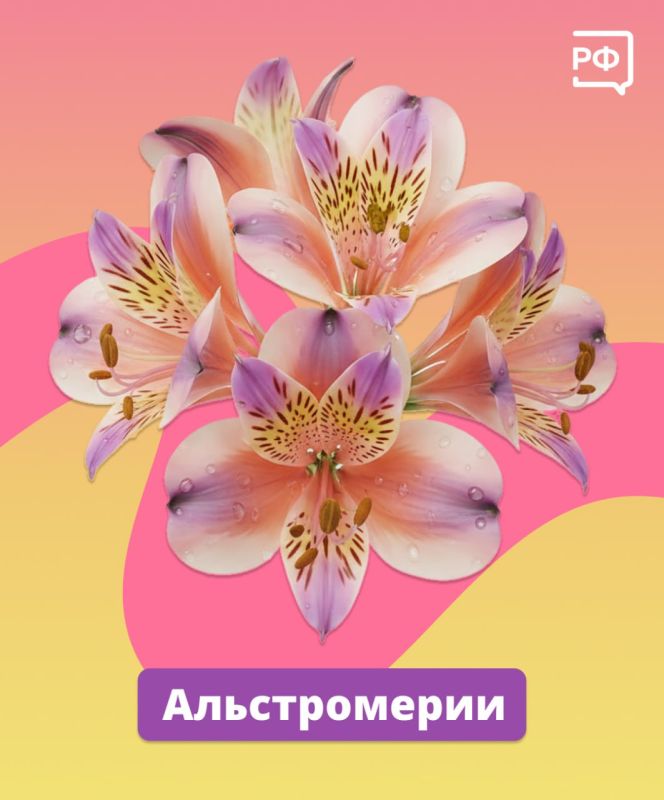 Чтобы праздничный букет простоял как можно дольше, следуйте простым советам Чтобы праздничный букет простоял как можно дольше, следуйте простым советам