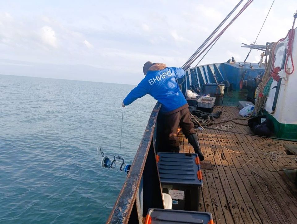 �������� ��������, ����� ������: ������ ������� ����� ������ � ���� ������ �������� � �������� ����