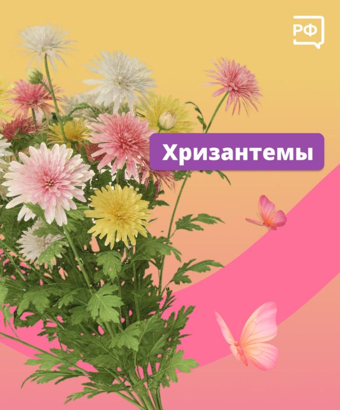 Чтобы праздничный букет простоял как можно дольше, следуйте простым советам Чтобы праздничный букет простоял как можно дольше, следуйте простым советам