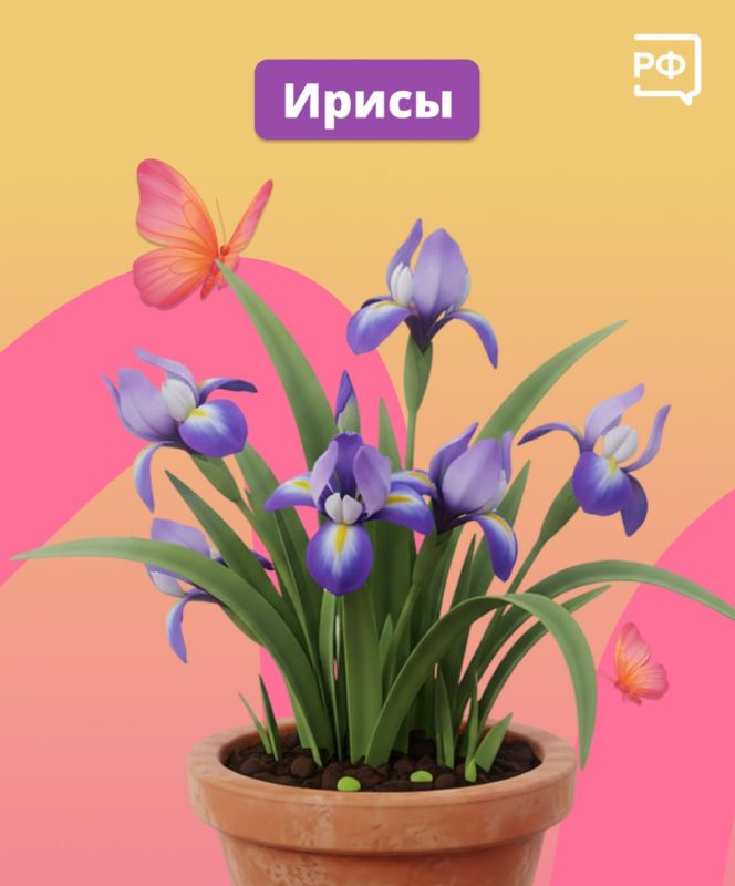 Чтобы праздничный букет простоял как можно дольше, следуйте простым советам Чтобы праздничный букет простоял как можно дольше, следуйте простым советам