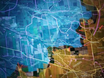 ���� �������: ����������� �����������. ������������� ��� "�����" ���������� ����� �������� ������������ �������� � ����������� ���������� � ���������