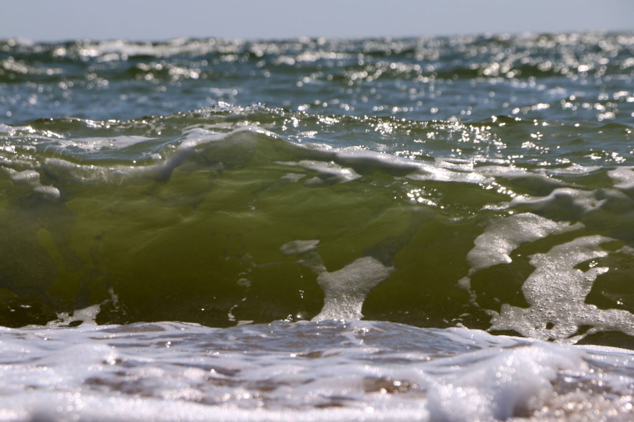 Между Широкино и Безыменным проектируют гостиницы, санаторий, аквапарк и винодельню Между Широкино и Безыменным проектируют гостиницы, санаторий, аквапарк и винодельню