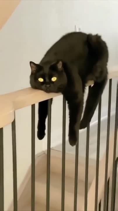 ����������� � ���� �������, �� ������ ��������: