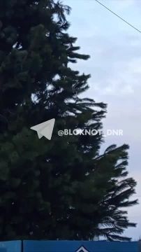 � ������� ���� ��� � �� ������ � ������ ����