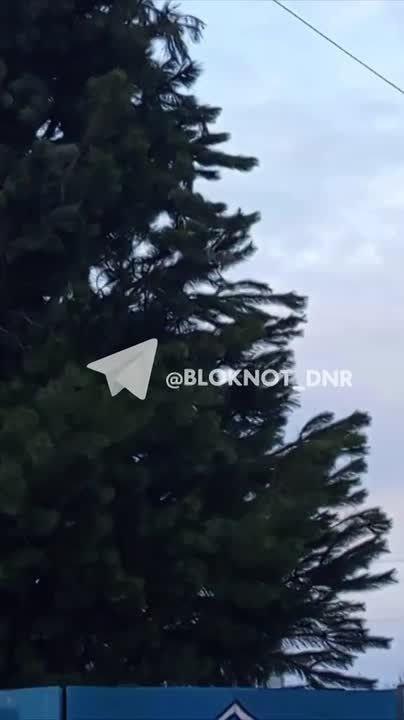 � ������� ���� ��� � �� ������ � ������ ����