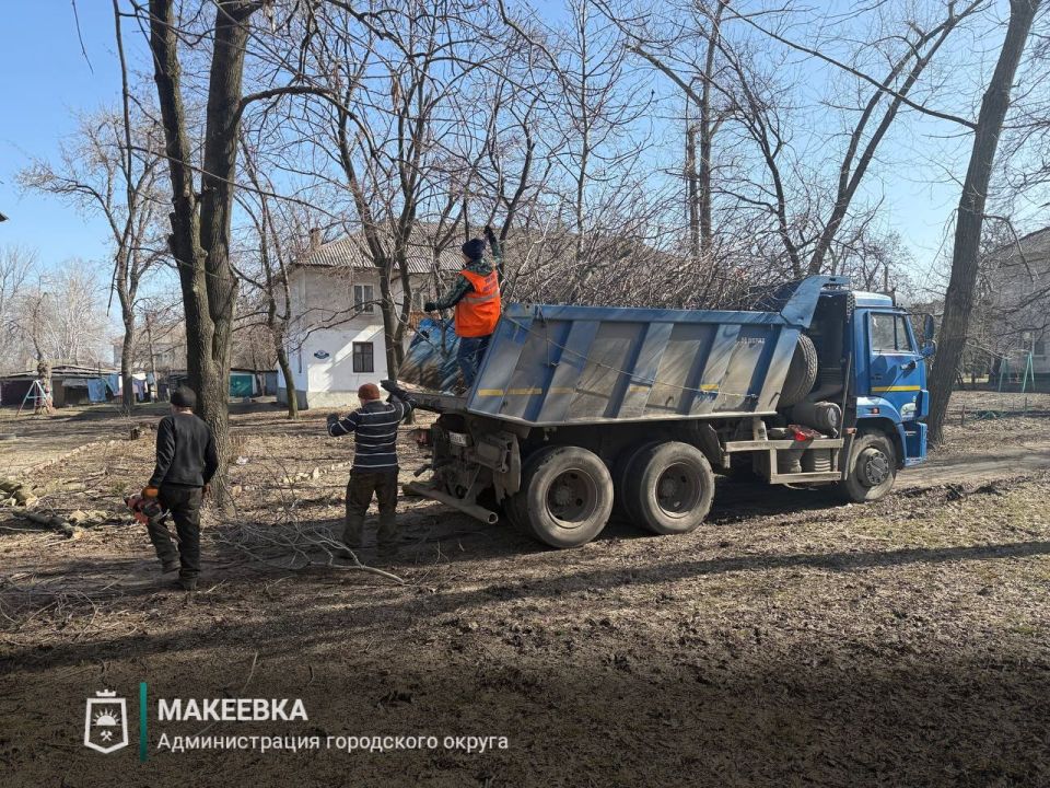 В Макеевке активно ведутся работы по удалению аварийных и старых деревьев В Макеевке активно ведутся работы по удалению аварийных и старых деревьев