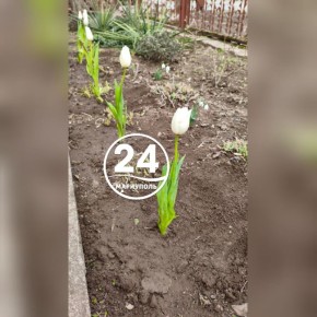 � ������ �����, ���������!