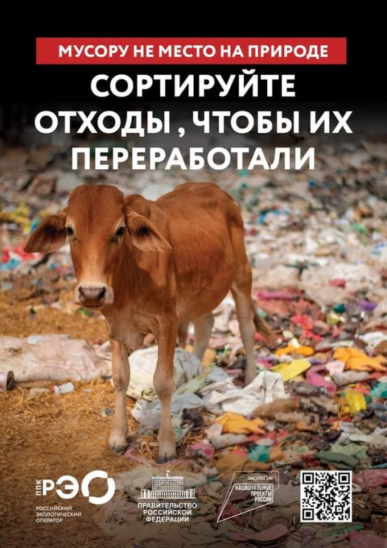 Республика переходит на раздельный сбор: первый шаг сделан Республика переходит на раздельный сбор: первый шаг сделан