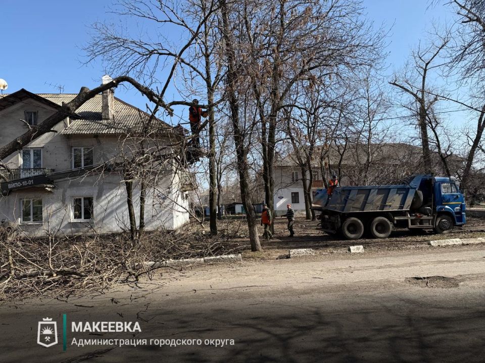 В Макеевке активно ведутся работы по удалению аварийных и старых деревьев В Макеевке активно ведутся работы по удалению аварийных и старых деревьев