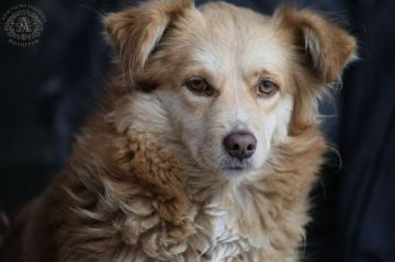 ������ ������� ��� ��������� ��� ����������� ��� � ����������� ���������� ������-������������ ��������, ������� ����������� � ��������� ����������, ��������� �� ���������, ��� ������ ��� ������� ���������������� ���������