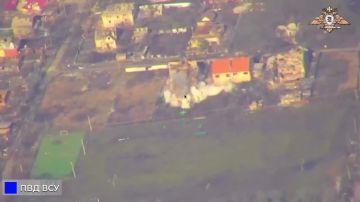 �� ��� � ������� ���������� ���������� "�����������" 238 �������