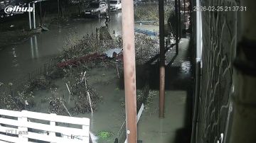 ��������� � ����� �������� � 7 ����� �������� ����� ������� �����������