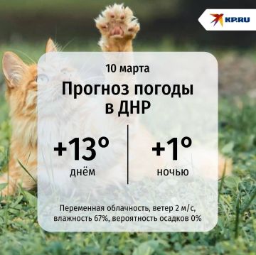 ������ ������� �������� � ������ ���� ���