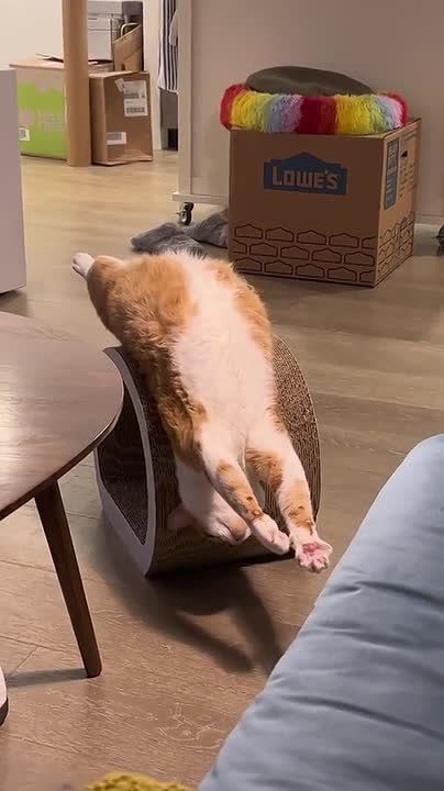 ��� �� ������� �� ����������� ������