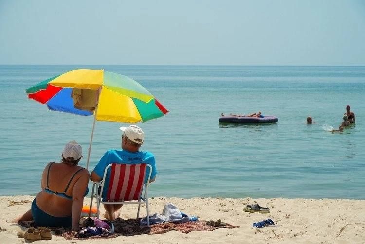 �����, �������� ������ � ����� �����������: ����� ������ ����������� ��������� ������� ���