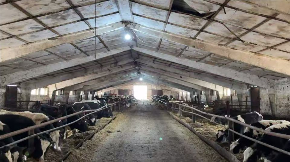 ����� � ���������� � ������ �������� ������� 41 ������� ������