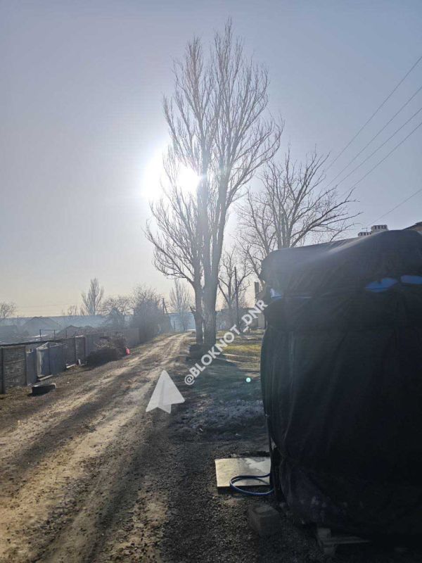 Тополи-сухостои вот-вот расшибут дом и оборвут провода в Пролетарском районе Донецка Тополи-сухостои вот-вот расшибут дом и оборвут провода в Пролетарском районе Донецка