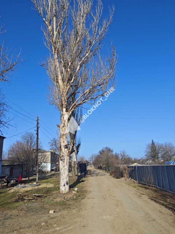 ������-�������� ���-��� �������� ��� � ������� ������� � ������������ ������ �������