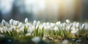 ������������� ��������. 12 ����� � ���������� ������������ ������, ��� �������