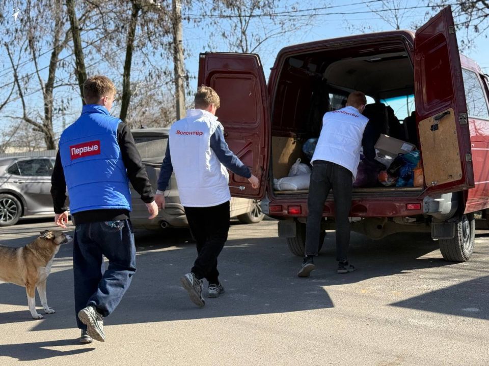 Сердца, полные тепла: Первые Докучаевска подарили заботу пушистым друзьям Сердца, полные тепла: Первые Докучаевска подарили заботу пушистым друзьям