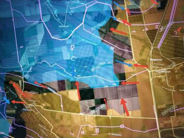 ���� �������: ����������� �����������. ������������� ��� "�����" ���������� ����������� � ����������� ��������� � ����������