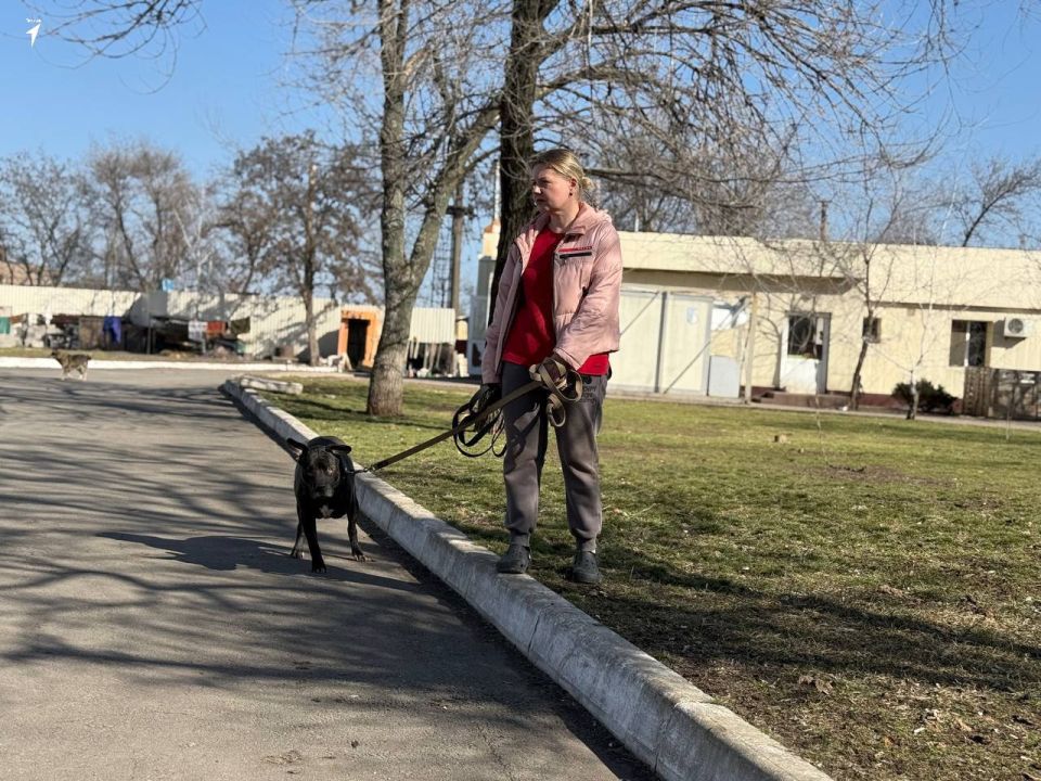 Сердца, полные тепла: Первые Докучаевска подарили заботу пушистым друзьям Сердца, полные тепла: Первые Докучаевска подарили заботу пушистым друзьям