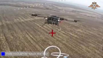 ������ �������� 238 ������� ������� �����-��� �� ���������������� �����������