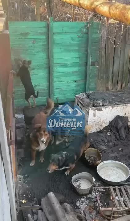 ����� ������ ������� � ���������� 70 ����� ������������� �������, ������� �� ���� ������