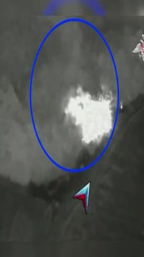 ���������� � ����. �������� � ������� ���� �� ������ ��������������� �����������, �� � ����� ��� ���������� ����������� ������� ��� � �������� ����� �� ������ ������� ��� ����������� �����������, �� ��� ���������� ������� ��...