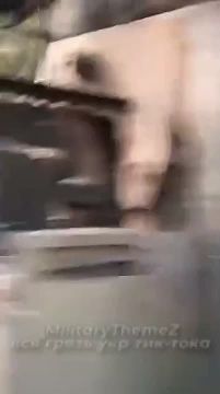 ������������ ��������������� Oncilla � �������� ��� ���������������� � �������� �������