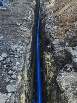 ������������ ������� ����������� ���������� � ���������