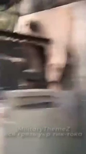 ������������ ��������������� Oncilla � �������� ��� ���������������� � �������� �������