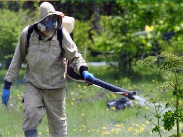 ������ � ��������� � ������� ������������ ��������� �����